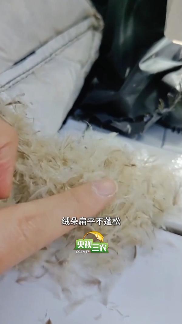 
朝阳医院黄牛号贩子票贩子代网上预约代挂号电话避开“假羽绒”陷阱 这样选购不花冤枉钱