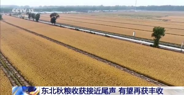 
阜外医院黄牛号贩子票贩子代网上预约代挂号电话全国秋粮收获过九成 各地多举措筑牢丰收基础