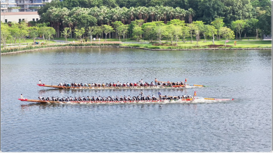 516-定龙舟赛新闻稿491