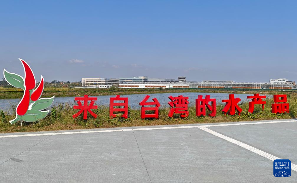 皖台共耕新沃土：一株兰花里的乡村振兴协奏曲