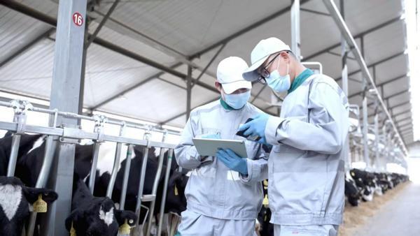 
南京医科大学第二附属医院黄牛号贩子票贩子代网上预约代挂号电话“全勤生”伊利八赴进博之约 谱写从追赶到超越的共赢篇章