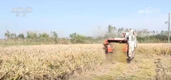 
医学科学院皮肤病医院黄牛号贩子票贩子代网上预约代挂号电话“农机+农技”助力秋收秋种 特色种养殖变身增收致富“金钥匙”