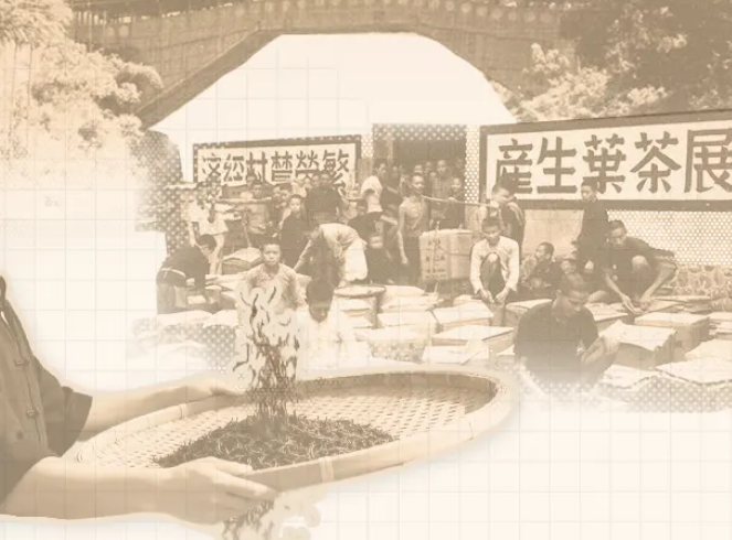 100年拿了2次巴拿马金奖，这个村有什么功夫？