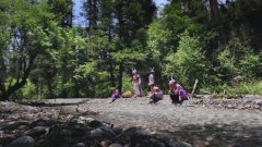 <strong>
山东大学齐鲁医院崔保霞姜洁张宁杨其峰王立杰吴大玮李玉方燕马玉燕杨向东</strong>