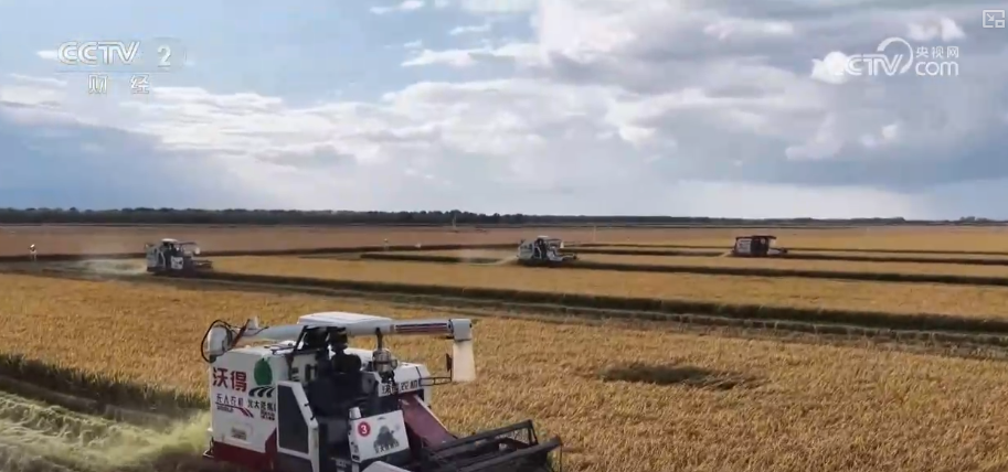 
江苏省东部战区总医院唐政陈慧平陈文萃文吉秋刘欣峰宋勇任建安黄牛挂号电话中国饭碗如何端得更牢？以怎样面貌迈向农业农村现代化？