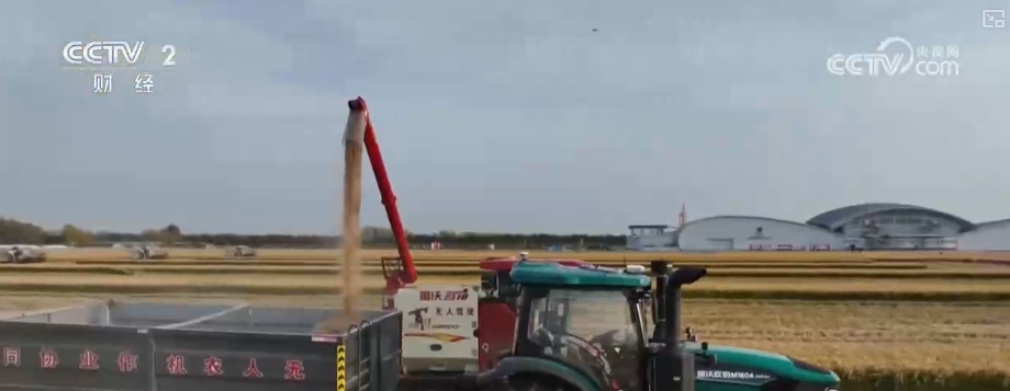 
江苏省东部战区总医院唐政陈慧平陈文萃文吉秋刘欣峰宋勇任建安黄牛挂号电话中国饭碗如何端得更牢？以怎样面貌迈向农业农村现代化？