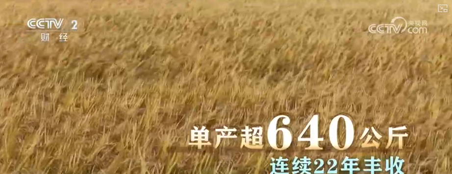 
江苏省东部战区总医院唐政陈慧平陈文萃文吉秋刘欣峰宋勇任建安黄牛挂号电话中国饭碗如何端得更牢？以怎样面貌迈向农业农村现代化？