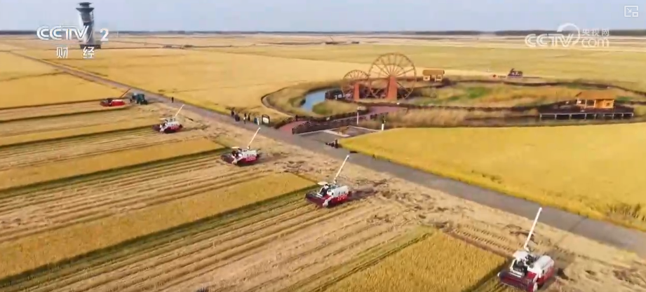 
江苏省东部战区总医院唐政陈慧平陈文萃文吉秋刘欣峰宋勇任建安黄牛挂号电话中国饭碗如何端得更牢？以怎样面貌迈向农业农村现代化？