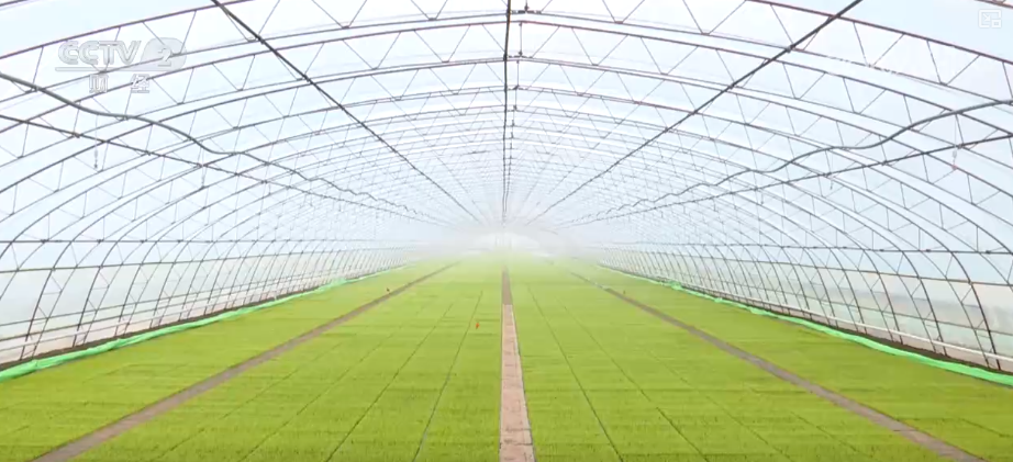 
江苏省东部战区总医院唐政陈慧平陈文萃文吉秋刘欣峰宋勇任建安黄牛挂号电话中国饭碗如何端得更牢？以怎样面貌迈向农业农村现代化？