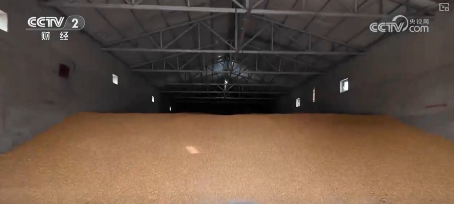 
江苏省东部战区总医院唐政陈慧平陈文萃文吉秋刘欣峰宋勇任建安黄牛挂号电话中国饭碗如何端得更牢？以怎样面貌迈向农业农村现代化？