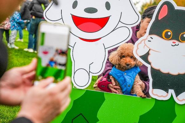 
上海第七人民医院黄牛号贩子票贩子代网上预约代挂号电话北京大兴庞各庄“西瓜小镇”主打“快乐休闲”，2025花宠季描绘产业融合新图景