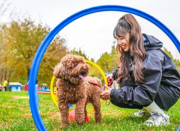 
上海第七人民医院黄牛号贩子票贩子代网上预约代挂号电话北京大兴庞各庄“西瓜小镇”主打“快乐休闲”，2025花宠季描绘产业融合新图景