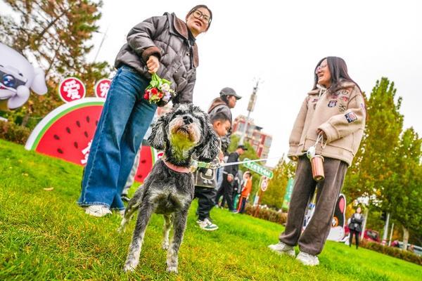 
上海第七人民医院黄牛号贩子票贩子代网上预约代挂号电话北京大兴庞各庄“西瓜小镇”主打“快乐休闲”，2025花宠季描绘产业融合新图景
