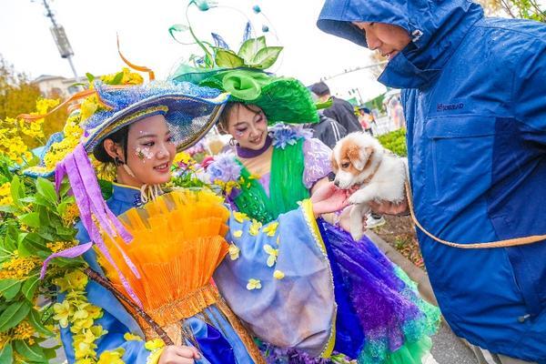 
上海第七人民医院黄牛号贩子票贩子代网上预约代挂号电话北京大兴庞各庄“西瓜小镇”主打“快乐休闲”，2025花宠季描绘产业融合新图景