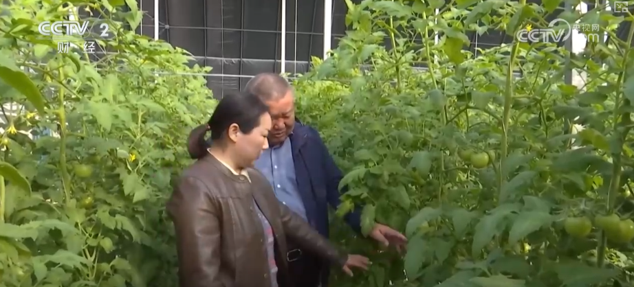 
广州医科大学附属第二医院黄牛号贩子票贩子代网上预约代挂号电话物丰价稳！多举措协同应对低温 保障百姓“菜篮子”无忧