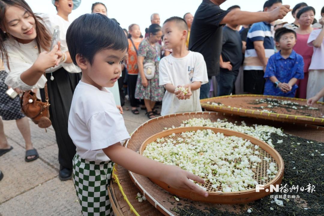 千年茉莉 “莫离”福州