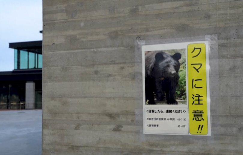 一天五人遭熊袭 日本红叶季旅游业受创