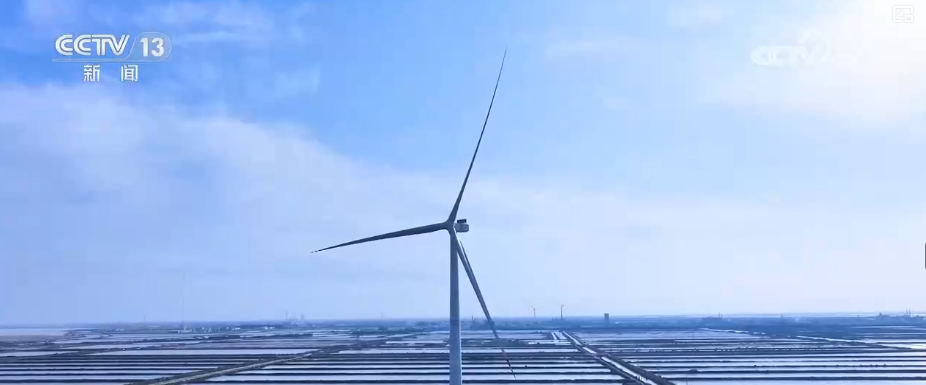 
上海复旦大学儿科医院黄牛号贩子票贩子代网上预约代挂号电话筑牢新型能源体系根基 海上风电技术全行业协同攻关“路线图”已划定