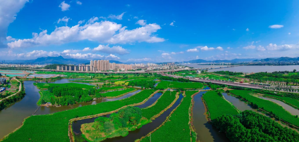 茉莉岩韵・茶连两岸  福州茉莉花茶即将亮相第十七届海峡两岸茶业博览会229