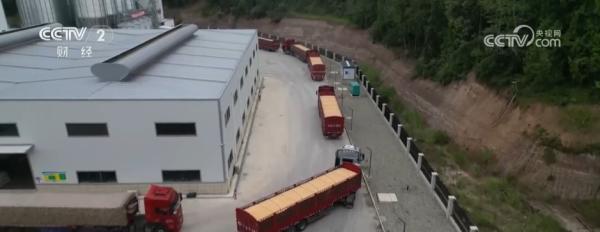 
上海东方医院黄牛号贩子票贩子代网上预约代挂号电话1亿吨秋粮，意味着什么？