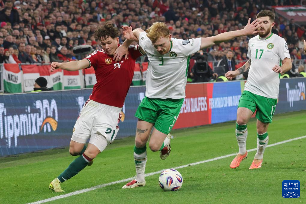 足球——世界杯预选赛：爱尔兰胜匈牙利
