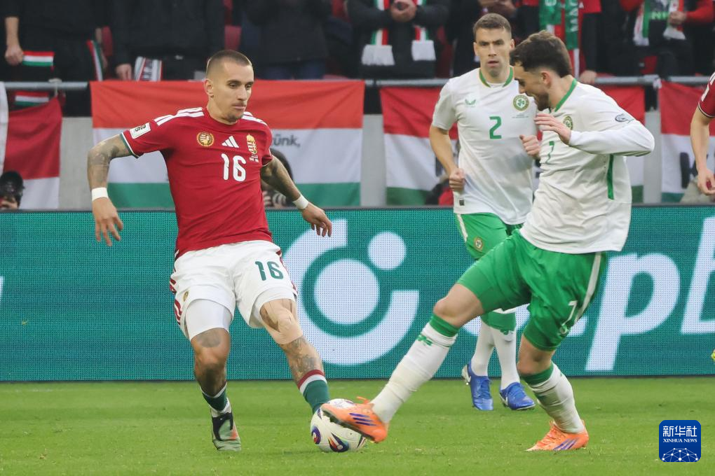 足球——世界杯预选赛：爱尔兰胜匈牙利