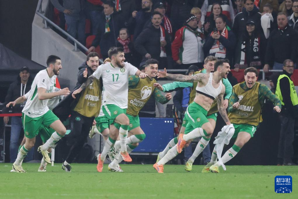 足球——世界杯预选赛：爱尔兰胜匈牙利