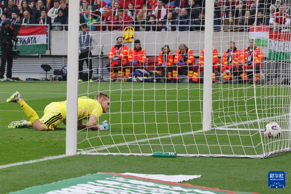 足球——世界杯预选赛：爱尔兰胜匈牙利