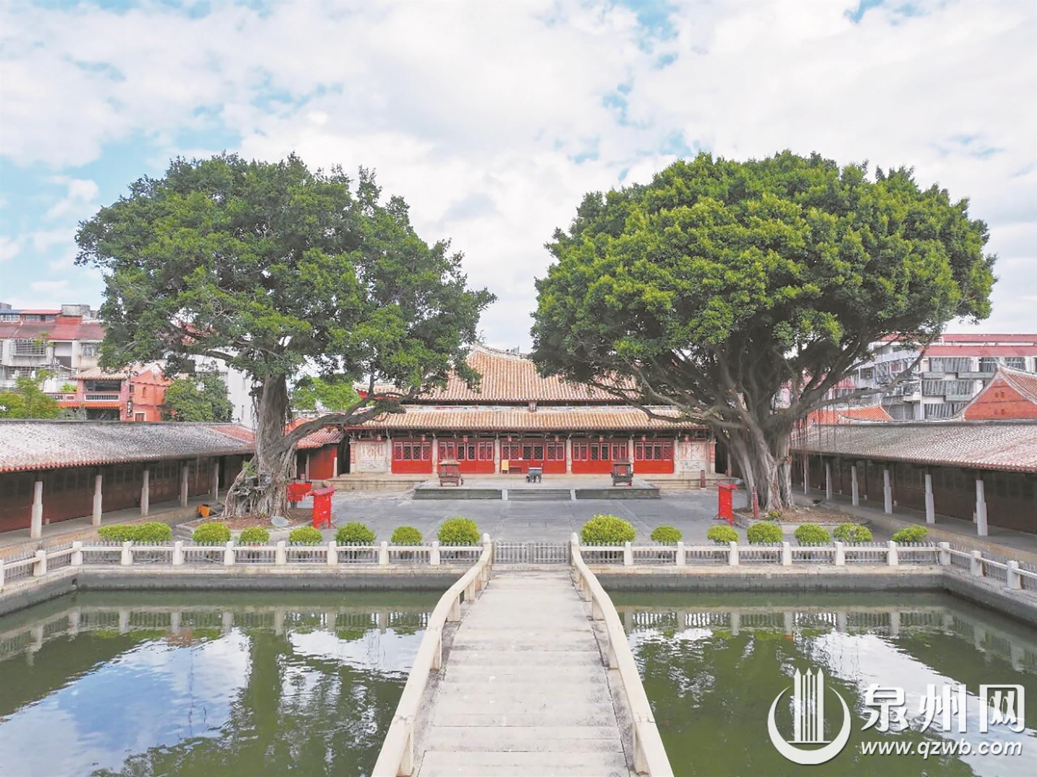 再现庄重风貌 泉州府文庙古树养护作业完成