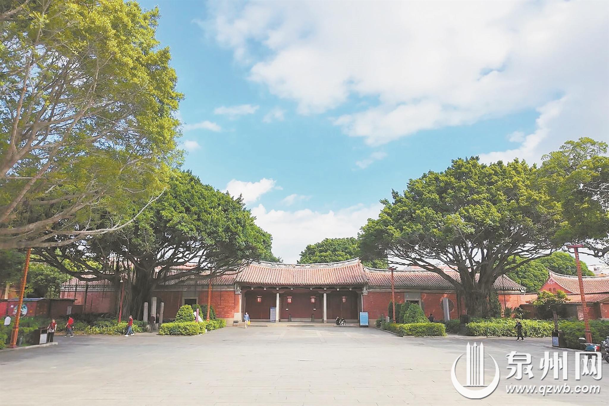 再现庄重风貌 泉州府文庙古树养护作业完成