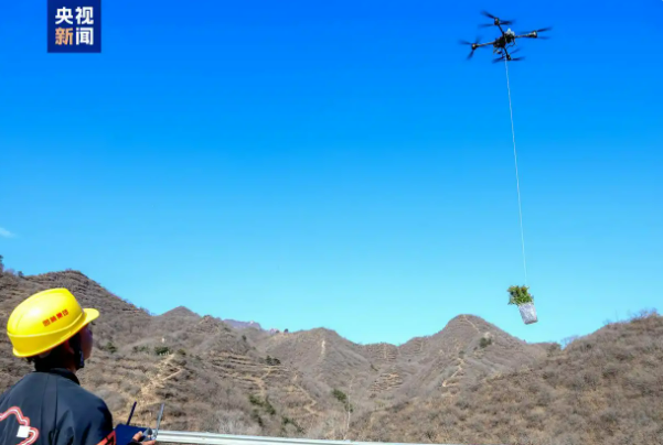 搬运造林苗木 无人机“上岗”参与生态修复