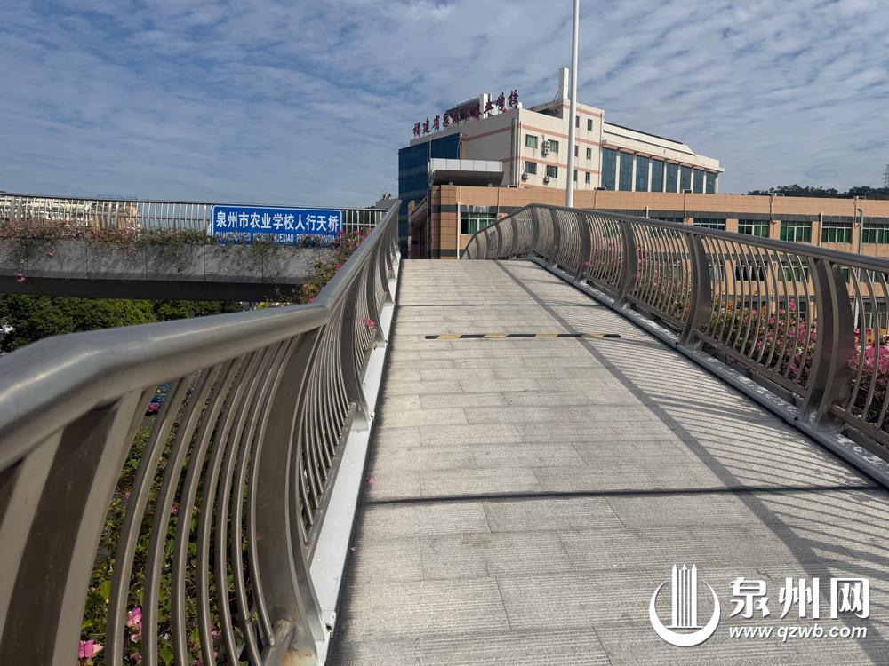 泉州中心市区人行天桥改造工程（二期）启动 5座天桥春节前焕新