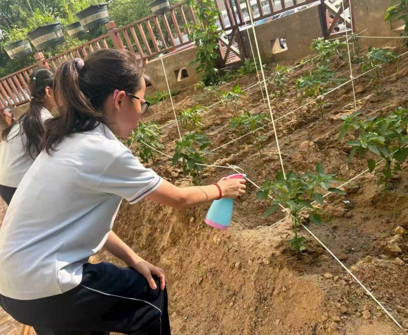 石狮市永宁中心小学：“双轨科学加法”点亮孩子课后时光