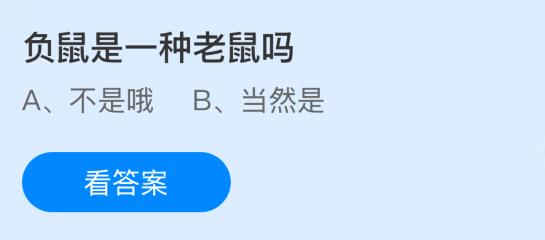 负鼠是一种老鼠吗？蚂蚁庄园课堂今天答案最新11月26日