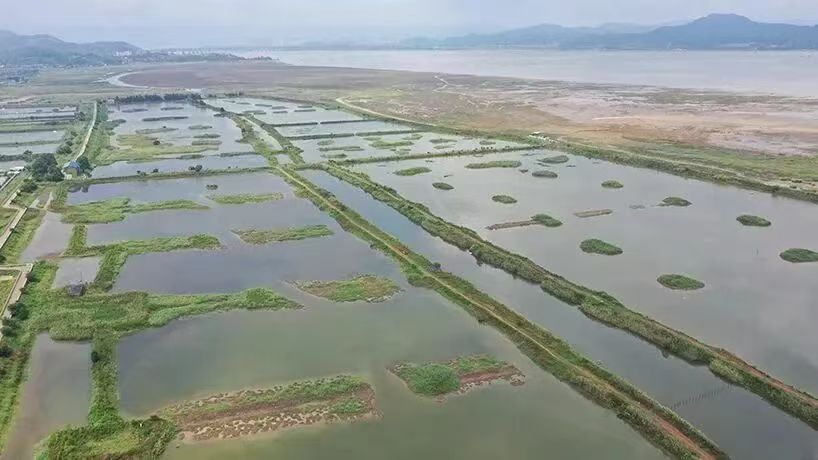 屏山君 | 从“会场之问”到“流域之治”