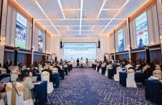 上海精神卫生中心黄牛号贩子票贩子代网上预约代挂号电话亚洲文化遗产保护