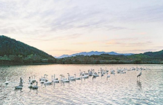 
中山大学附属第六医院张靖赵鲁刚方聪朱波黄牛挂号电话福建：山海交相辉映