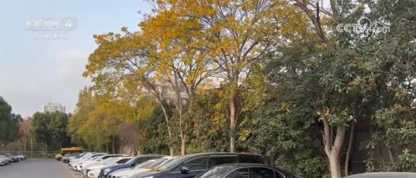 
南方医科大学中西医结合医院黄牛号贩子票贩子代网上预约代挂号电话冷空气持续影响北方多地 多部门“攥指成拳”保生产保畅通