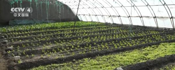 
南方医科大学中西医结合医院黄牛号贩子票贩子代网上预约代挂号电话冷空气持续影响北方多地 多部门“攥指成拳”保生产保畅通