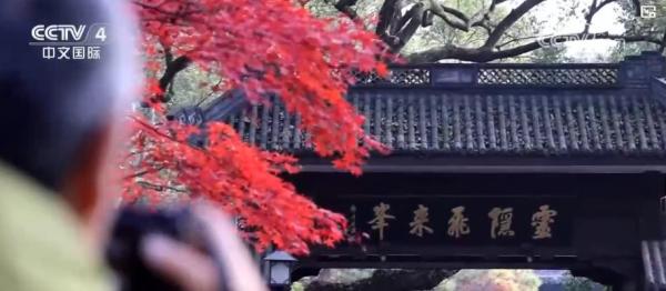 
天津血液研究所黄牛号贩子票贩子代网上预约代挂号电话旅游计次票密集 “上新”！一票串联交通文旅 激活冬季消费新引擎