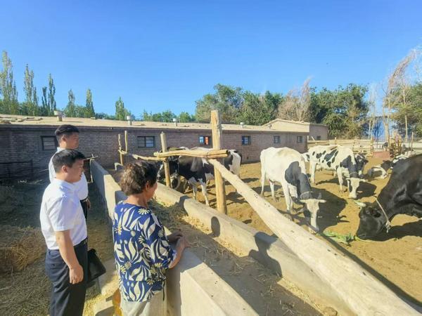 
沈阳盛京医院黄牛号贩子票贩子代网上预约代挂号电话金融活水浇灌民族沃土——甘肃银行酒泉分行赋能少数民族地区高质量发展