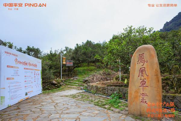 
广州医科大学附属第五医院黄牛号贩子票贩子代网上预约代挂号电话服务450个百千万工程项目，中国平安四向发力支持广东乡村振兴