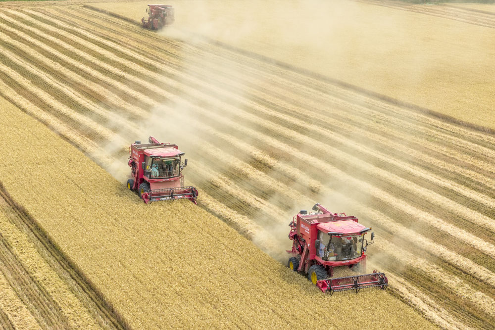 2025中国经济回眸｜筑牢发展安全根基 守住风险防控底线——解码中国经济稳健前行的底气