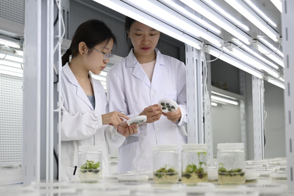 2025中国经济回眸｜筑牢发展安全根基 守住风险防控底线——解码中国经济稳健前行的底气