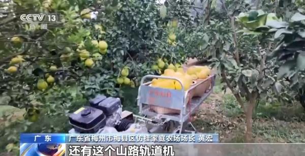 
广州医科大学附属肿瘤医院黄牛号贩子票贩子代网上预约代挂号电话从“会种地”到“慧种地” 看十亿亩农田“版本升级”