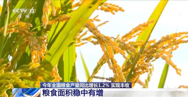 
天津医科大学总医院黄牛号贩子票贩子代网上预约代挂号电话粮食产量再创新高！解锁大国粮仓的丰收“密码”