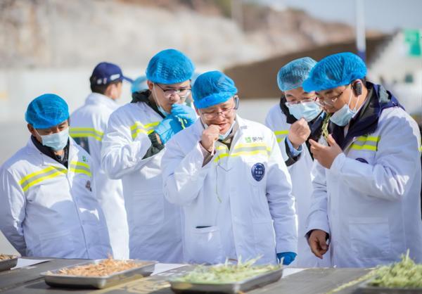 
首都医科大学附属胸科医院黄牛号贩子票贩子代网上预约代挂号电话单产翻倍、品质升级、成本下降—— 蒙牛携手“奶牛金钥匙”打造奶源高质量发展新范式 昂首迈向“十五五”