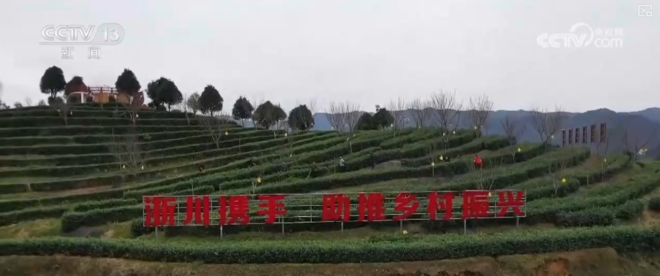 
重庆各大医院黄牛挂号电话从政策到投资、从壮大新动能到“人工智能+”，怎么干？