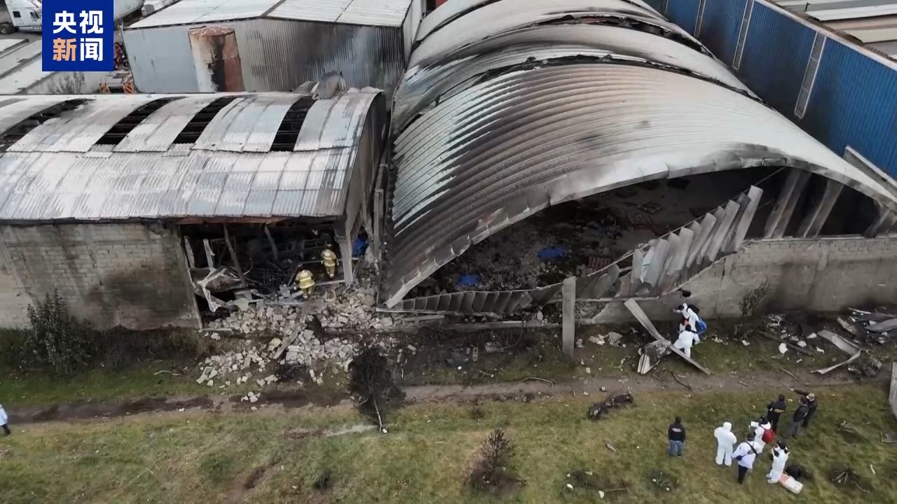 墨西哥一小型飞机坠毁 机上10人全部遇难