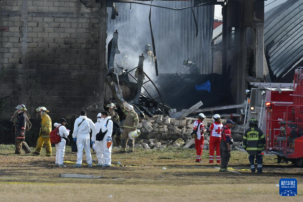 墨西哥一小飞机坠毁致7人死亡